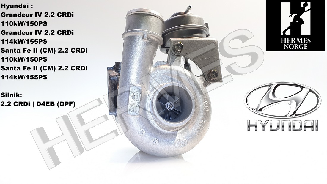 Hyundai Santa Fe II/Grandeur Turbo Turbo nr 49135-07310